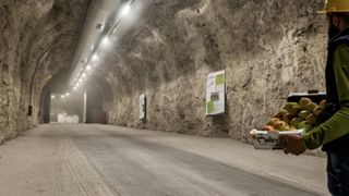 Producătorii străini de fructe și legume vor să reducă consumul la energie. Ce alternativă ingenioasă au găsit