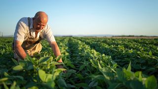 Carnea, laptele și ouăle se scumpesc. Cât vor scoate românii din buzunar pentru achiziția acestor alimente