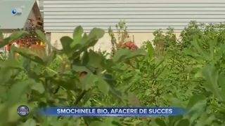 Smochinele bio, afacere de succes