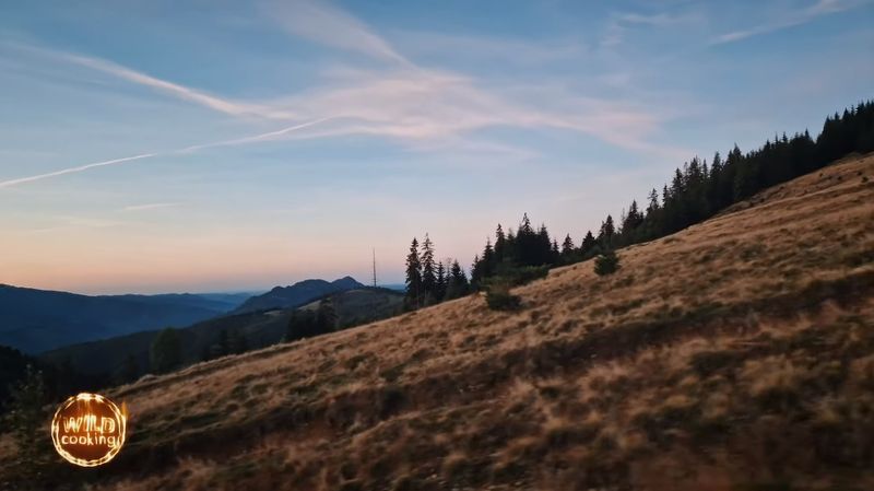 Cotlete de porc cu sos cremos de ciuperci