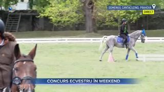 Concurs ecvestru &icirc;n weekend