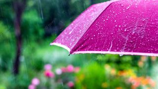 Cod galben de ploi în 14 județe. Cum va fi vremea după episodul de vară târzie