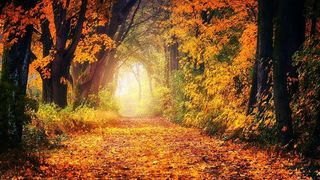 Cum va fi vremea în luna octombrie 2022. Prognoza meteo pentru următoarele 30 de zile