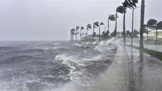 VIDEO - Florida se pregătește de dezastru. Milioane de oameni au fugit din calea uraganului Ian