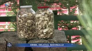 Hribii, deliciul sezonului