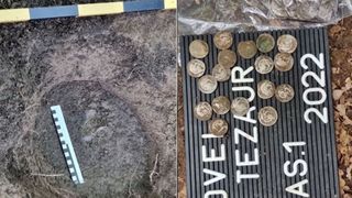 Descoperire incredibilă într-o pădure din Alba. O sumă de bani a fost îngropată în pământ