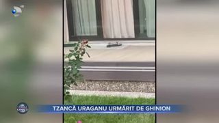 Tzancă Uraganu, urmărit de ghinion