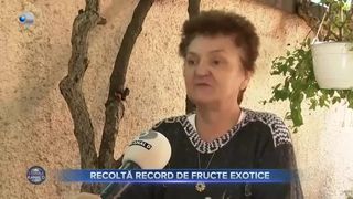 Recoltă record de fructe exotice