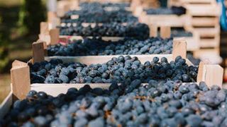  Doi bărbați au fost &icirc;mpușcați &icirc;n g&acirc;t și &icirc;n abdomen, &icirc;n județul Bacău