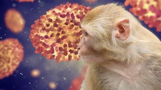  A fost administrată prima doză de vaccin împotriva variolei maimuței, în România