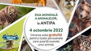 VIDEO: Intrare gratuită marți la Muzeul Antipa pentru cei care au nume de animale