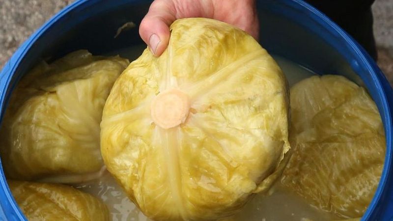 Câtă sare se pune la varza murată? O rețetă delicioasă pentru iarnă