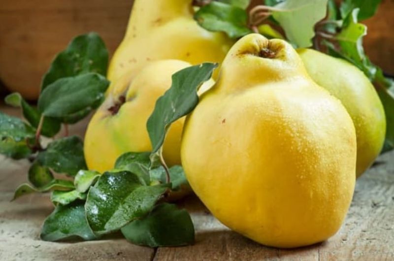 Beneficiile și contraindicațiile gutuilor: Cine nu ar trebuie să le mănânce?