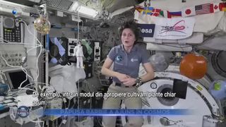 Păpușa Barbie a ajuns în Cosmos