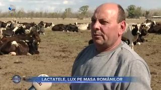 Lactatele, lux pe masa românilor
