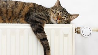 Românii vor fi obligați să își pună repartitoare pentru căldură