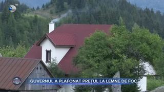 Guvernul a plafonat prețul la lemnele de foc