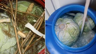 Rețeta bunicii de varză murată la butoi pentru iarnă