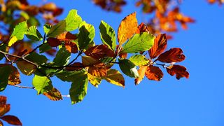 Vremea pentru săptăm&acirc;na 10-17 octombrie 2022