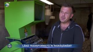 L&acirc;nă transformată &icirc;n &icirc;ngrășăm&acirc;nt