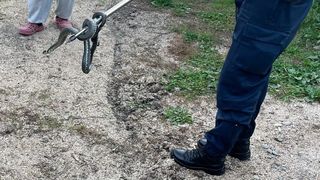 Jandarmii au intervenit pentru îndepărtarea unui şarpe de peste un metru dintr-o gospodărie
