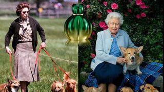 Paradă specială dedicată reginei Elisabeta a II-a. Sute de c&acirc;ini din rasa corgi au defilat &icirc;n faţa palatului Buckingham