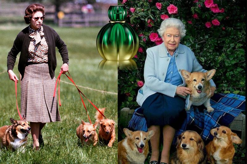 Paradă specială dedicată reginei Elisabeta a II-a. Sute de câini din rasa corgi au defilat în faţa palatului Buckingham