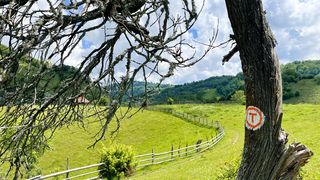 Tot ce trebuie să știi despre Via Transilvanica: Traseu, hartă, ghidul complet