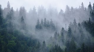 A fost emis un Cod galben de ceață și brumă pentru județele Covasna și Harghita. Meteorologii au anunțat când vor cădea primii fulgi de nea