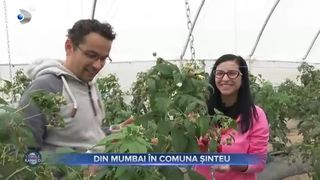 Din Mumbai in comuna Sinteu