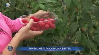 Din Mumbai &icirc;n comuna Șinteu