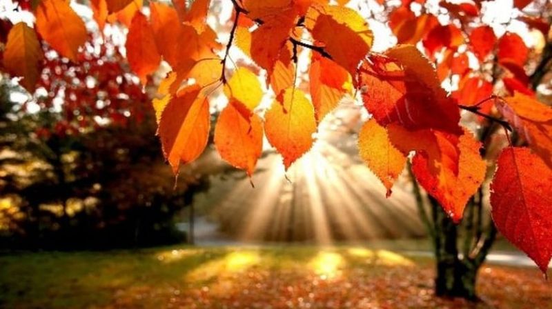 Prognoza meteo pentru weekend: Cum va fi vremea în perioada 14 - 16 octombrie 2022?