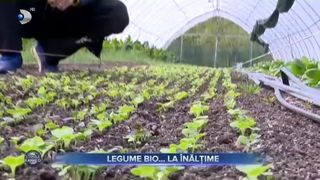 Legume Bio.. la &icirc;nălțime
