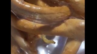 VIDEO Șocant: Covrigi cu viermi, puși la vânzare. ANPC a dat amenzi usturătoare