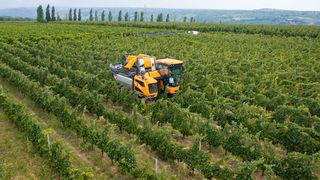 S&acirc;mbătă, de la ora 15:00, &icirc;n &rdquo;ROventura&rdquo;: Periplul ROventura continuă prin &ldquo;țara viei și-a vinului&rdquo;