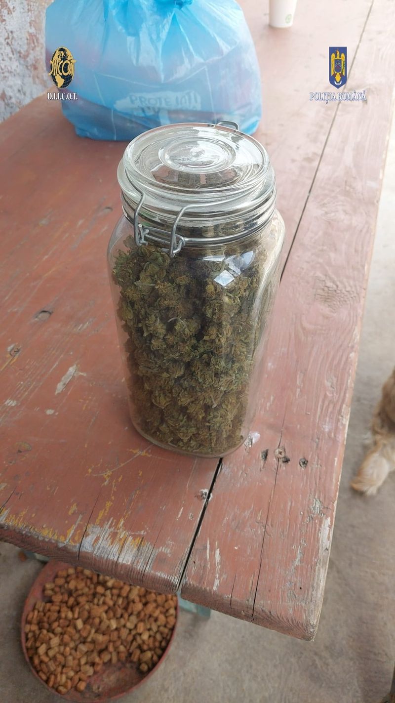 DIICOT cercetează o rețea de traficanți de droguri inițiată de un bărbat aflat în penitenciar. Unul dintre suspecți a fost prins în flagrant.