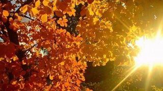 Cum va fi vremea &icirc;n perioada 17-23 octombrie 2022. Prognoza meteo pentru fiecare zi a săptăm&acirc;nii