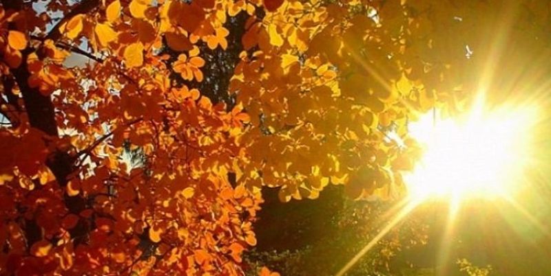 Cum va fi vremea în perioada 17-23 octombrie 2022. Prognoza meteo pentru fiecare zi a săptămânii