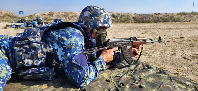 Activități Ziua Armatei Române