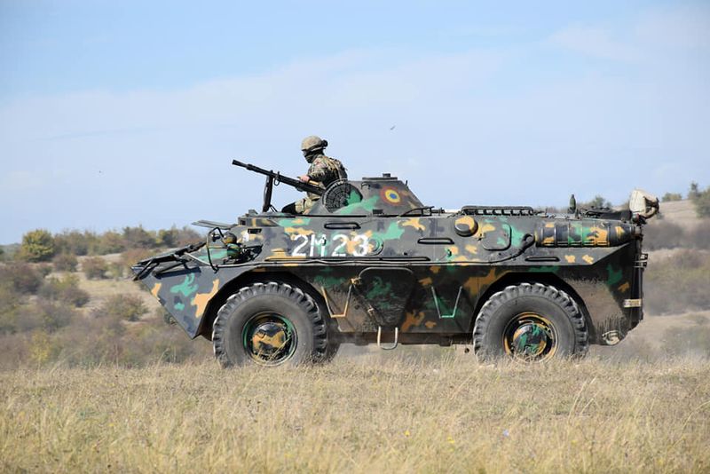 Activități Ziua Armatei Române