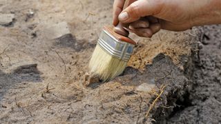 Un schelet uman a fost descoperit &icirc;n curtea unui muzeu din Mehedinți