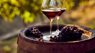 Un bărbat din Alba a primit o amendă usturătoare pentru că ținea 200 de litri de vin în beci. Alcoolul era păstrat pentru nunta fiului său