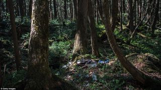  O bătrână moartă  a fost ascunsă în pădure pentru a-i putea fi încasată pensia 