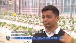 Drona-albină, testată cu succes