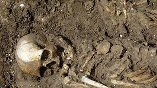 Descoperire șocantă pe o faleză din Galați. Muncitorii de la salubritate au găsit oase umane