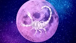 Venus intră în Scorpion începând cu 23 octombrie 2022. Cum sunt influențate zodiile