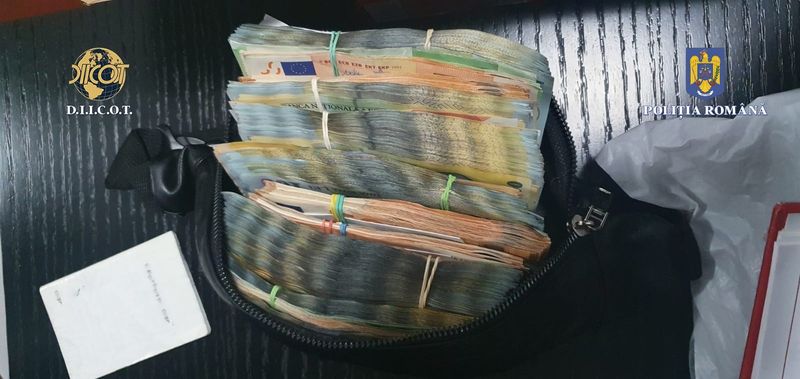 O cultură de canabis ascunsă într-o hală de 1.000 de metri pătrați a fost descoperită în Vrancea. Au fost făcute 5 percheziții domiciliare