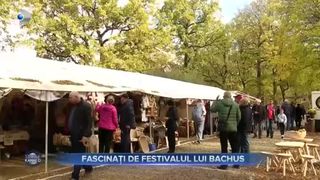 Fascinati de Festivalul lui Bachus