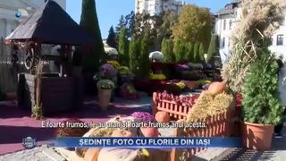 Ședințe foto cu florile din Iași