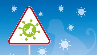 Un nou caz de variola maimuței a fost confirmat în România